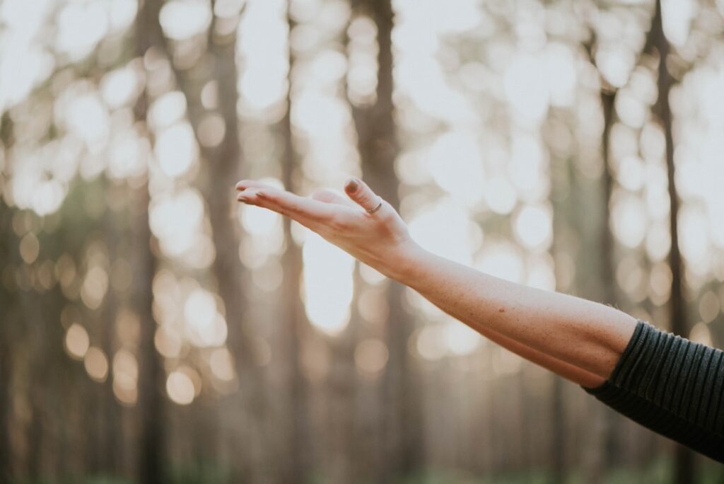 Ce avem noi aici: O zi de relaxare și refacere în centrele noastre de wellness și spa-uri