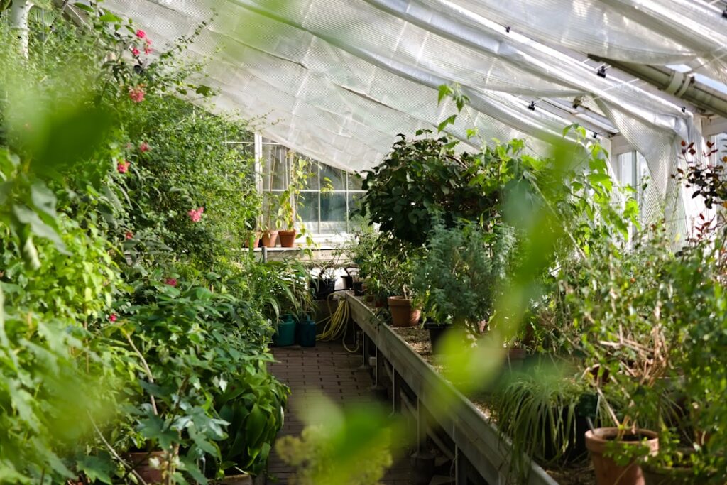 Ce avem noi aici: Apreciind frumusețea și liniștea naturii în grădinile botanice locale