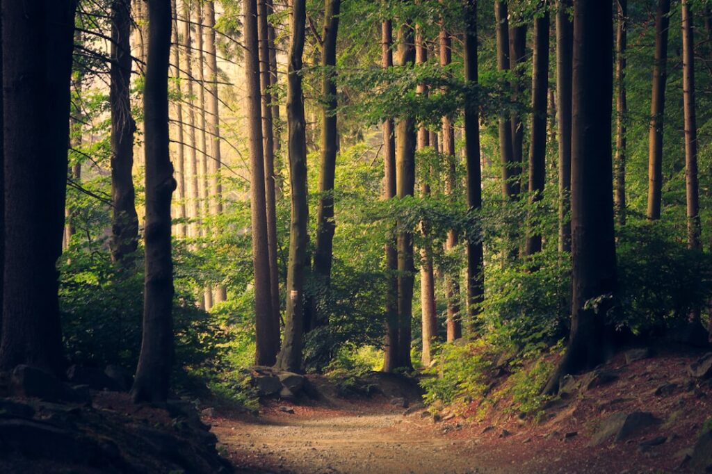 Ce avem noi aici: Explorând Tainele Naturii din Jurul Nostru
