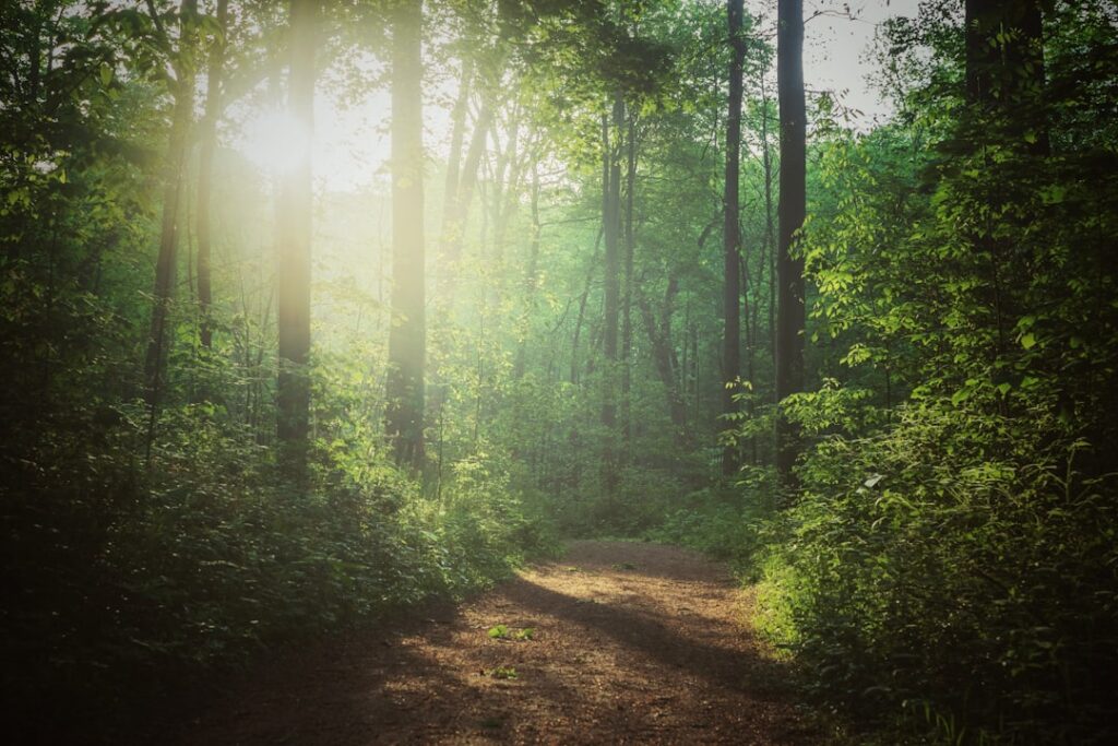 Ce avem noi aici: Aprecierea și Înțelegerea Impactului și Importanței Naturii prin Rezervațiile și Parcurile Naturale