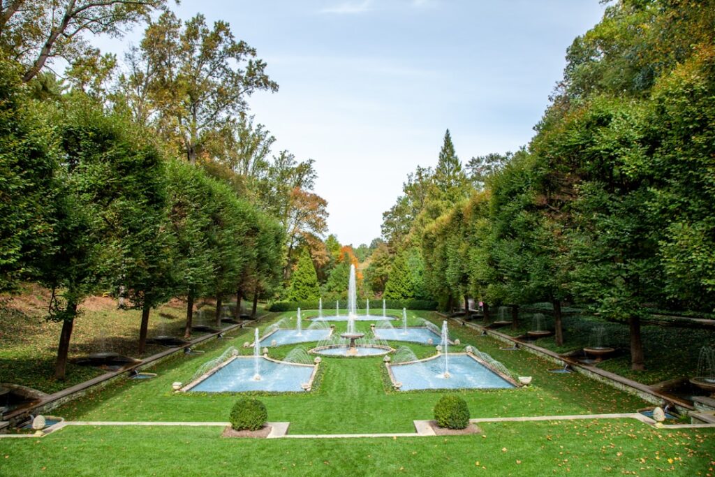 Ce avem noi aici: Inspirându-ne din Magia și Frumusețea Naturii în Rezervațiile și Grădinile Botanice din Orașul Nostru