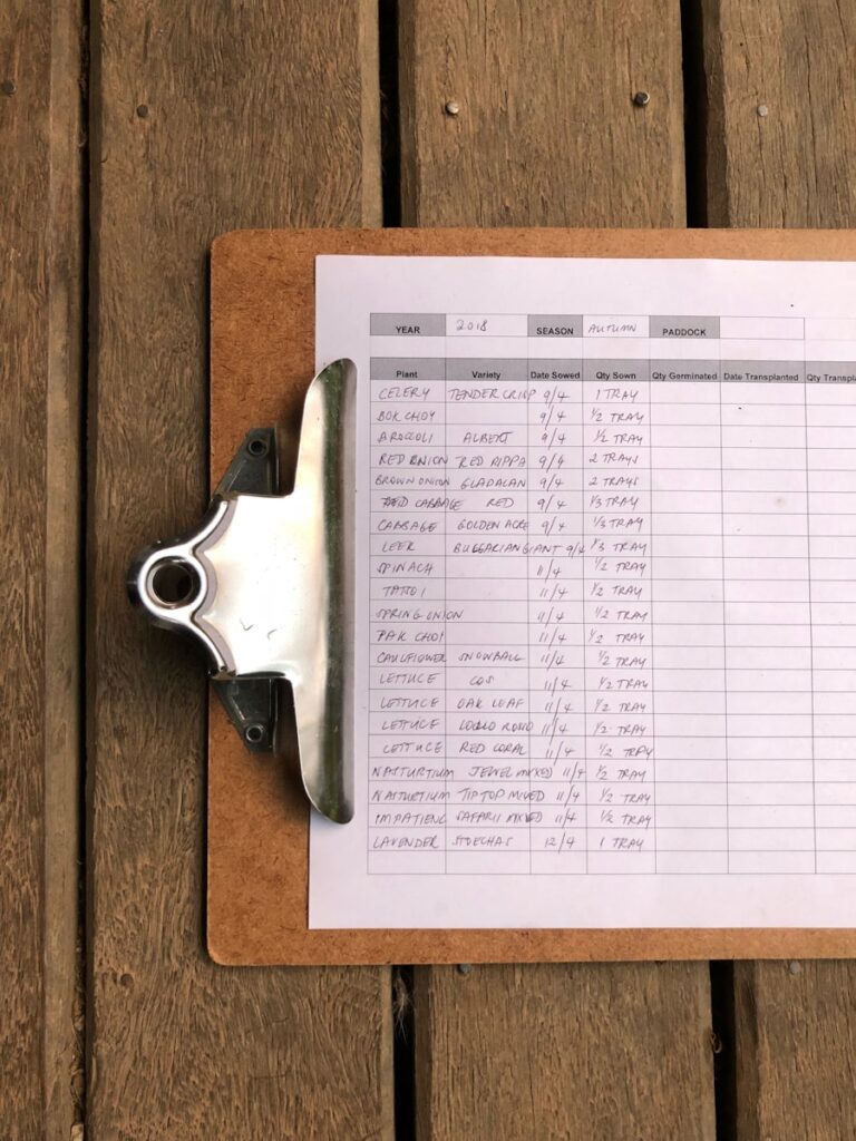 Secretele organizării unui plan de fitness: Cum să îți atingi obiectivele