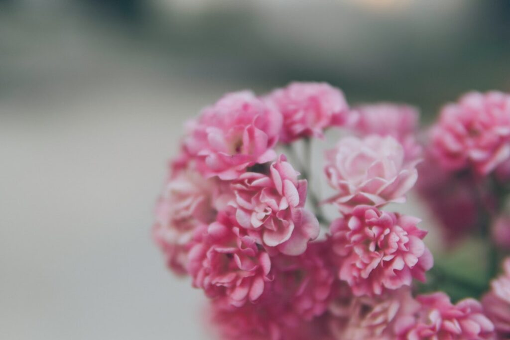 Care este codul PIN implicit la telefoane Android