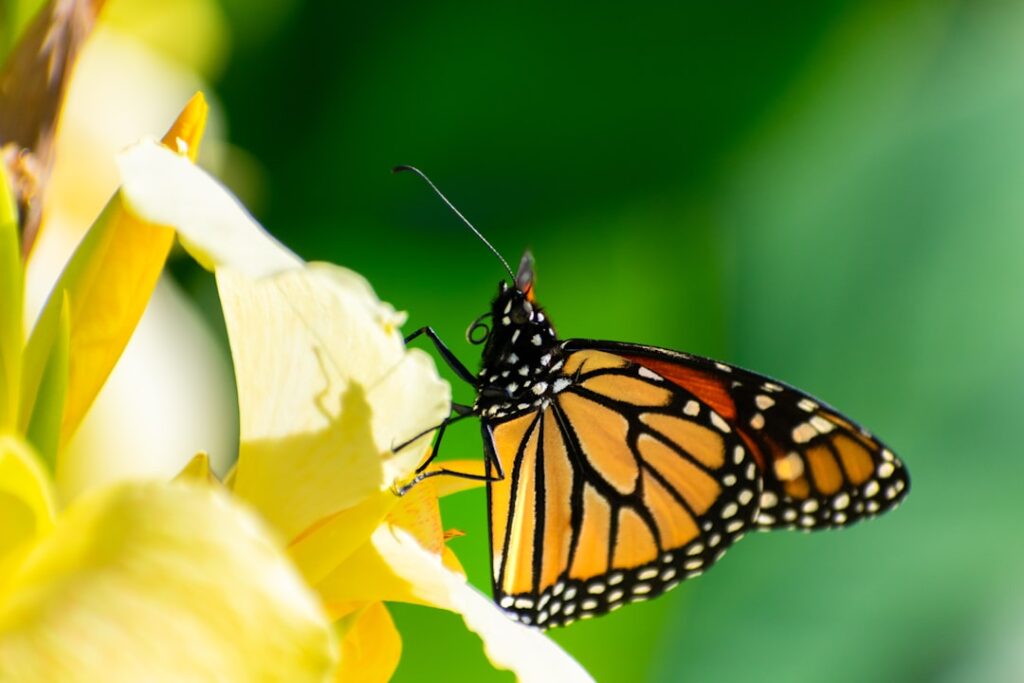 Citate pentru transformare spirituală