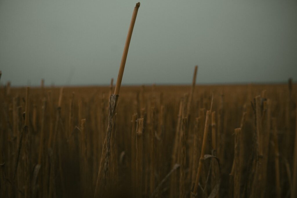 De ce te visezi pe tine din copilărie