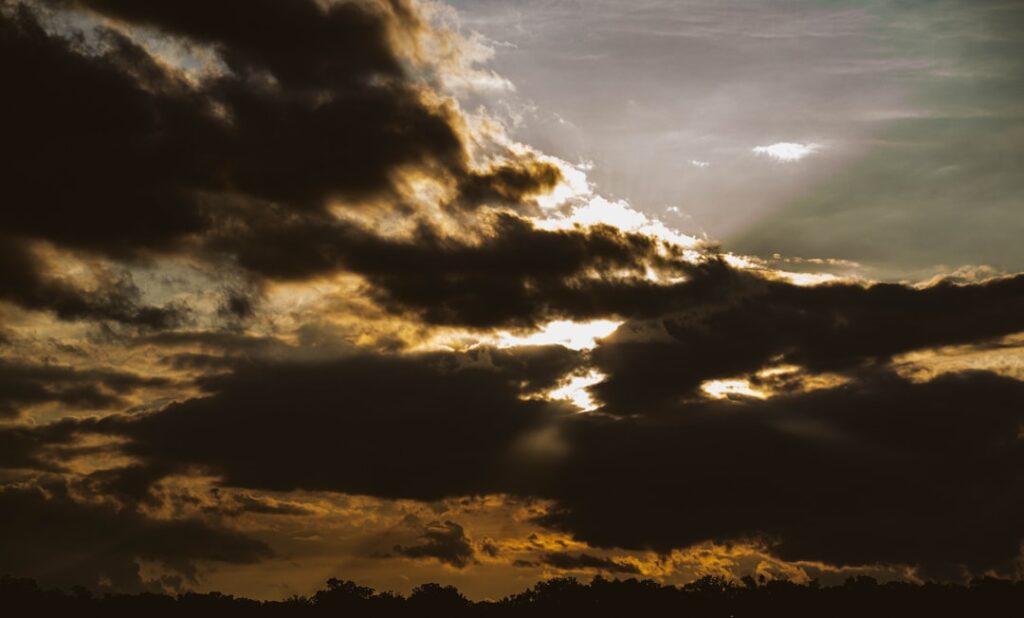 Stările din vise: explorând tărâmul viselor – Visul este o mică ușă ascunsă în cea mai adâncă și mai secretă cameră a sufletului tău. – Carl Jung