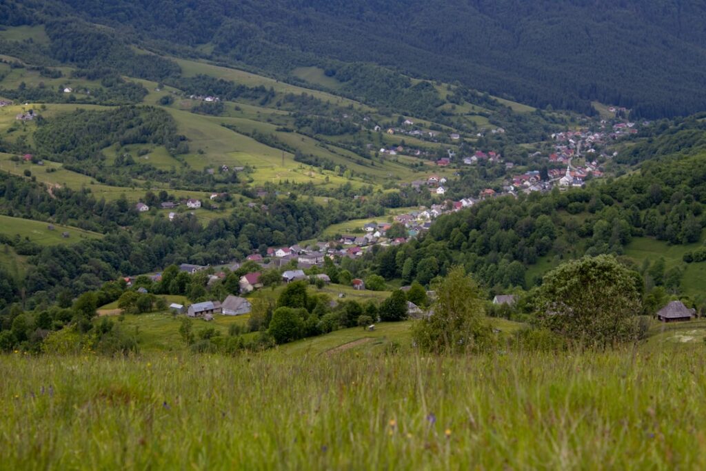 Povestea brutăriilor cu maia: un succes printre tineri