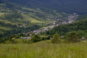 Photo brutăriilor cu maia