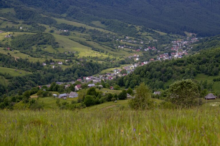 Povestea brutăriilor cu maia: un succes printre tineri