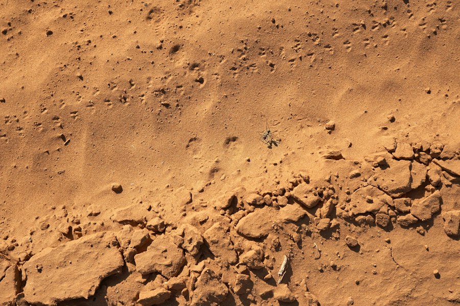 Photo curiosity research analysis recommendations