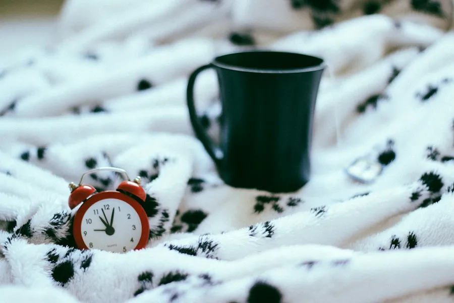 daily routine guide tips